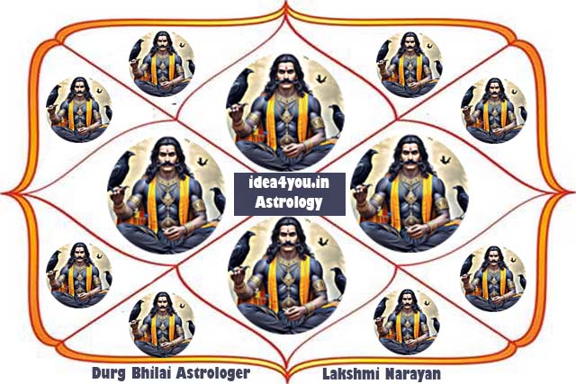 12 भावों में शनि